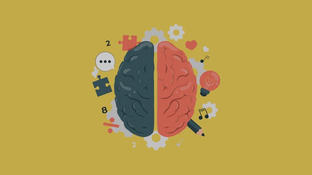 Bridge the Skills Gap: Essential Skills and Strategies